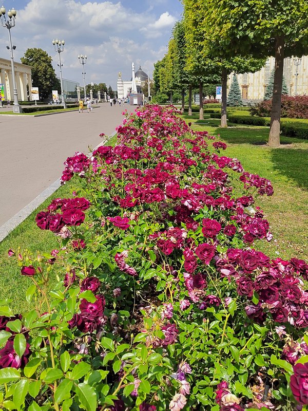 https://i.postimg.cc/YSpNCcRq/030-IMG-20230706-113136.jpg
