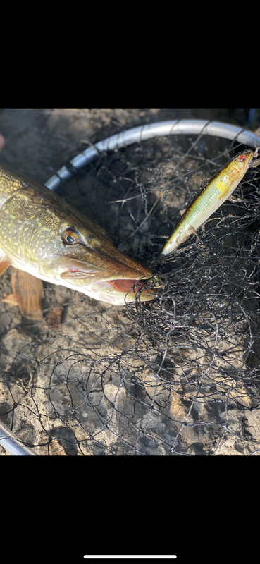 5E726109-DCA3-4F49-B63B-09701E46D336