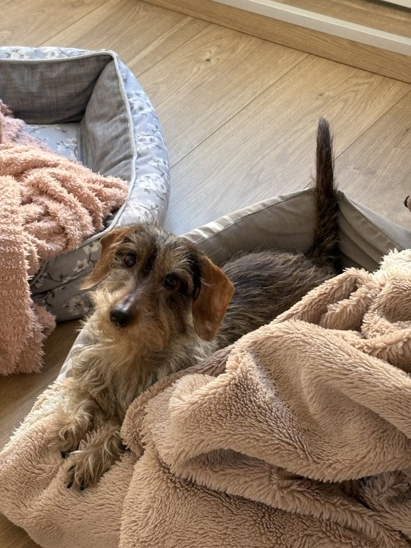 [Image: IMG-0044.jpg]