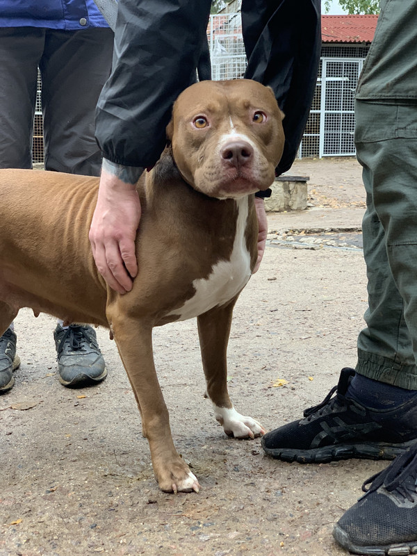 91D08935-6B63-44BB-8A07-2E2203B9E910