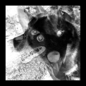 [Slika: Polywhy-Use-Me-folder.jpg]