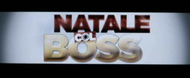 Natale.Col.Boss.2015.iTALiAN.MD.CAM.XviD-iNCOMiN