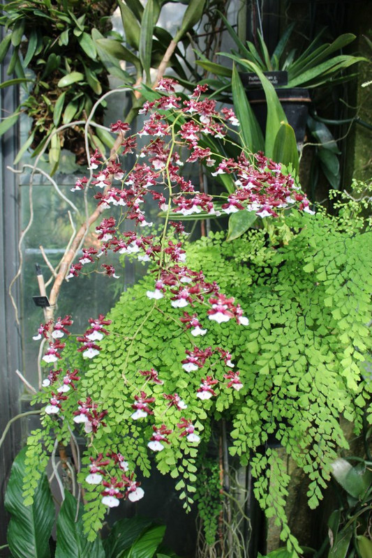 C6B31093-6070-4BB8-81AE-BB677F78C254