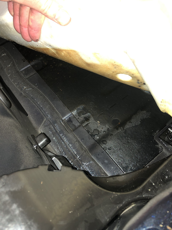 24FE2579-CE77-4DC5-9C55-C03A8D4E1236