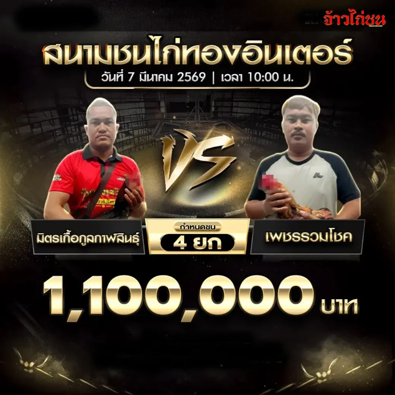 โปรแกรมไก่ชน มิตรเกื้อกูลกาฬสินธุ์ พบ เพชรรวมโชค สนามชนไก่ทองอินเตอร์ วันที่ 7 มีนาคม 2569