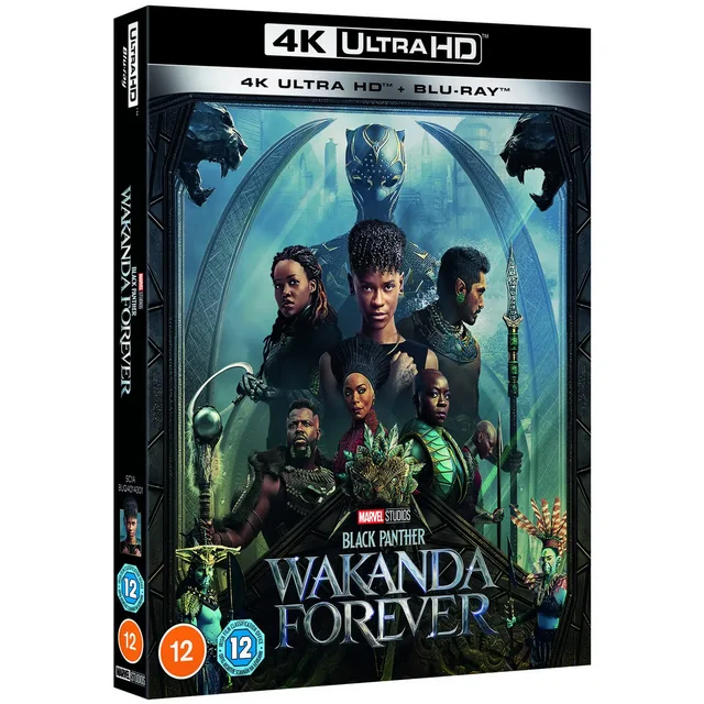 Black Panther Wakanda Forever 2022 HDRip x264-SUNSCREEN