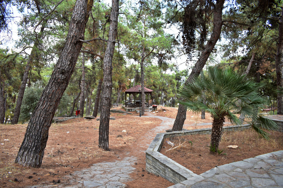 Άλσος της Παναγούδας (1)