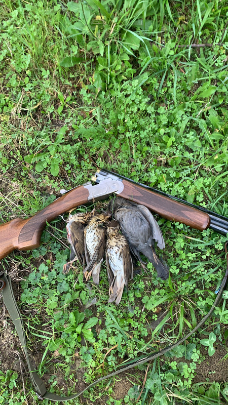 5324496C-96CD-46F5-B351-A37C38329F78