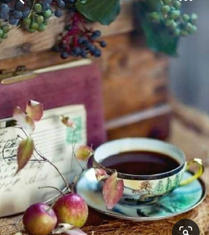 Screenshot_20230710_234221_Pinterest