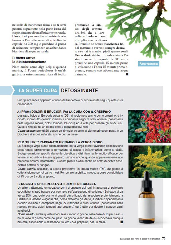 Sal Nat Ext Feb-Mar 2024 (10)