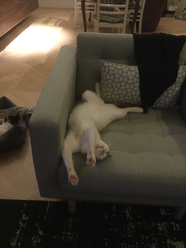 13DCAF9C-D274-4EB9-8281-426B5B10D1C5