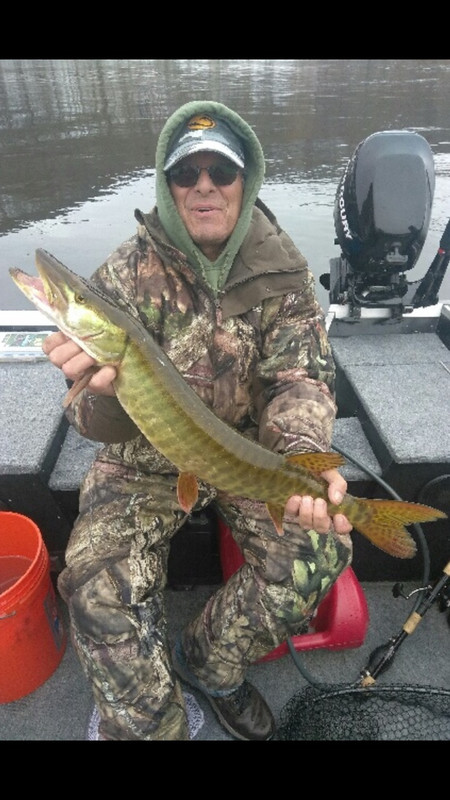 2C855A1C-483B-4C6C-9528-1A0F2B80C703