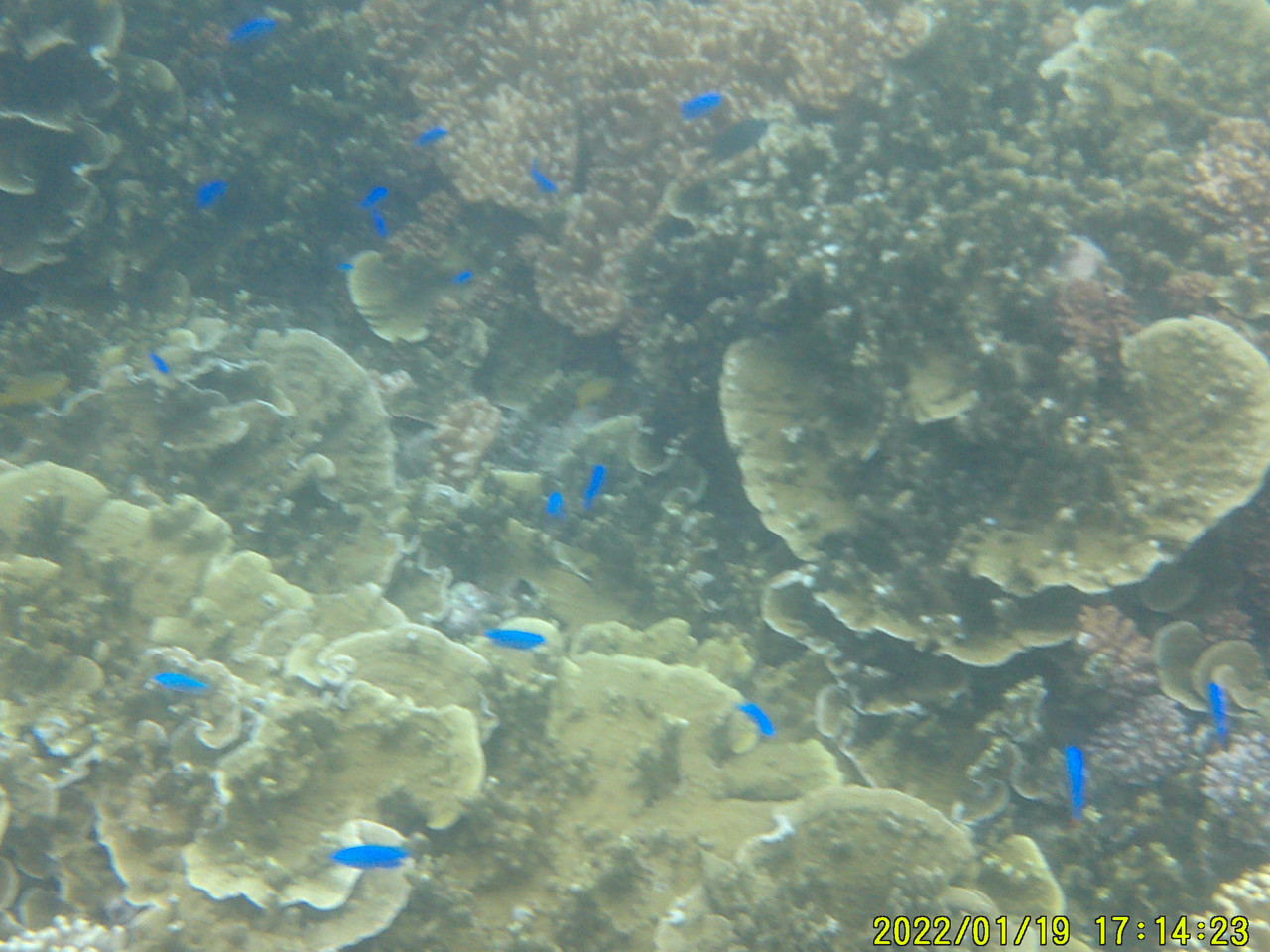 DSCF0025