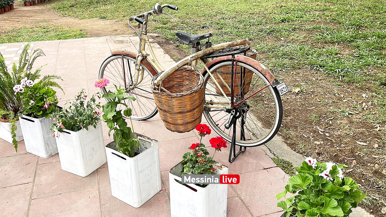 ΑΝΘΟΚΟΜΙΚΗ 2024image00012