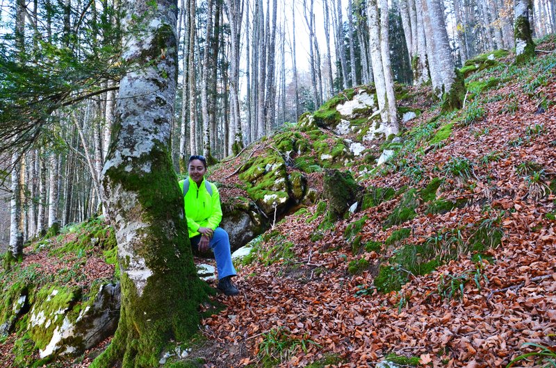 Navarra y sus pueblos-2015 - Blogs de España - Selva de Irati-14-11-2015 (28)