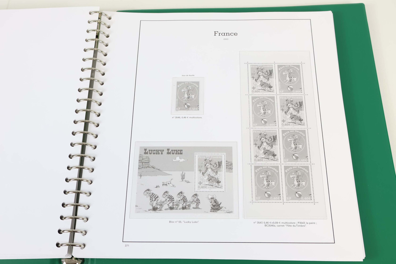 IMG 7652