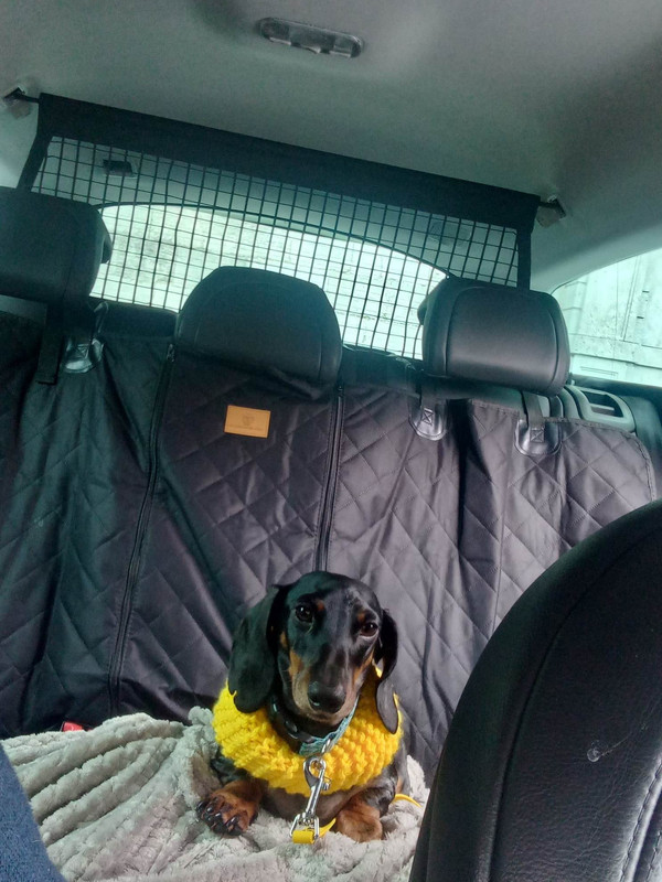 [Image: received-1251488195473378.jpg]