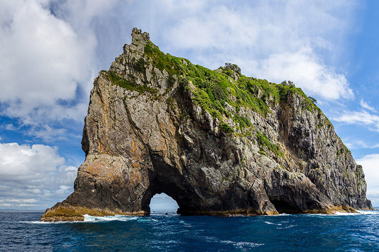 Bay of Islands & Paihia 2 Day Small Group Tour & Cruise from Auckland (Excluding Hotel) | Shaara Deals