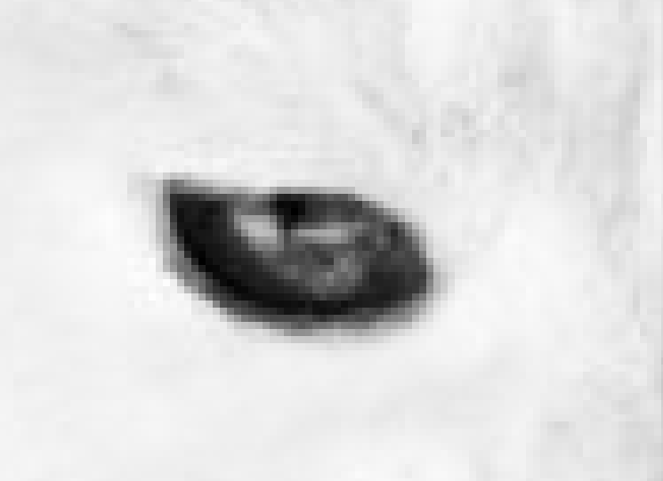 screenshot_2018_10_06_at_18_47_17.png