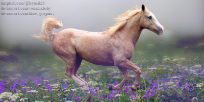 fog-horse-pfp-bnner.png