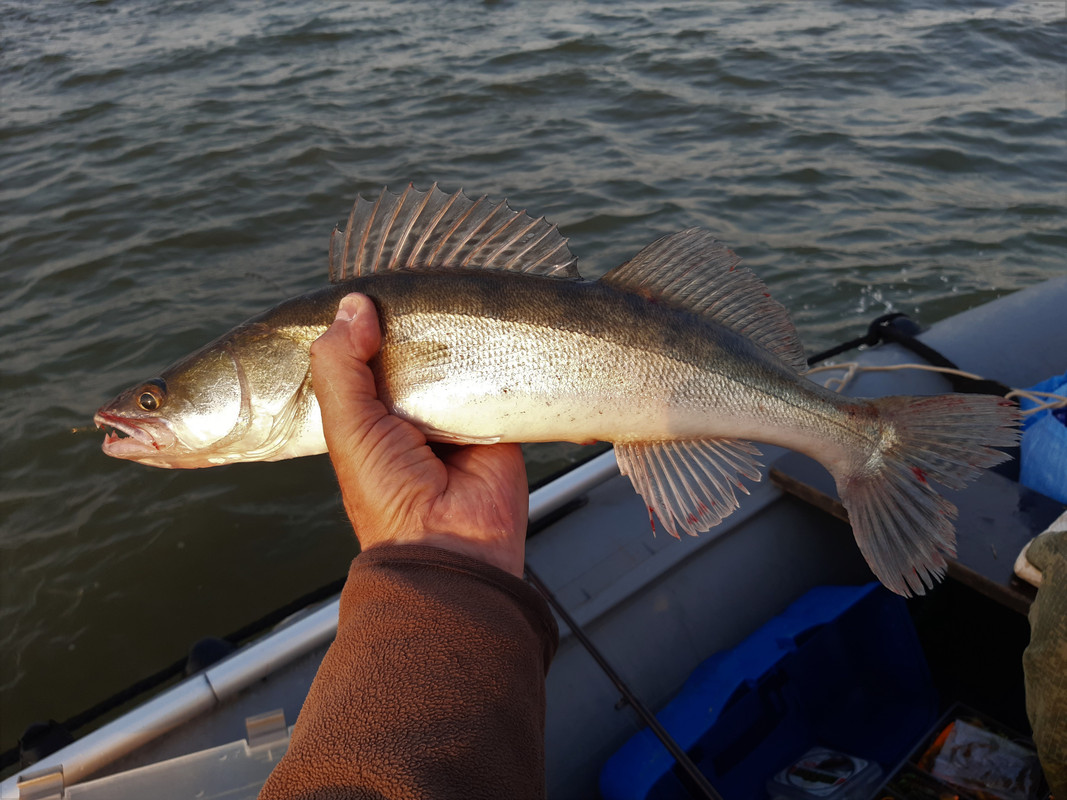 20210901_061503 — копия