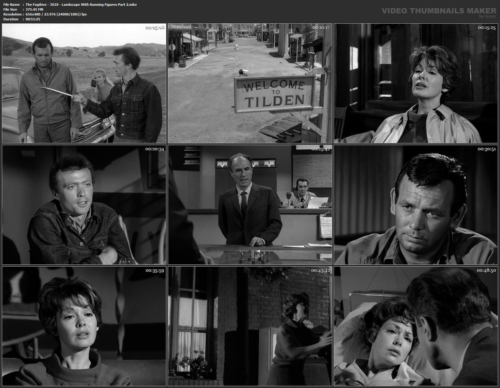 The Fugitive - 3X10 - Landscape With Running Figures Part 2.mkv