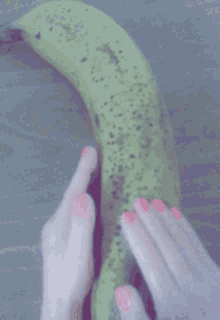sass-little.gif
