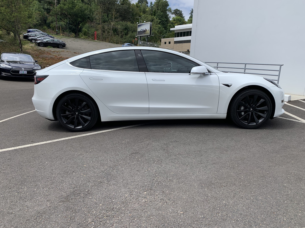 My 2019 M3 Sr Thread Tesla