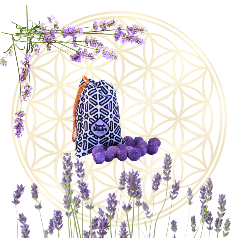 LAVANDA