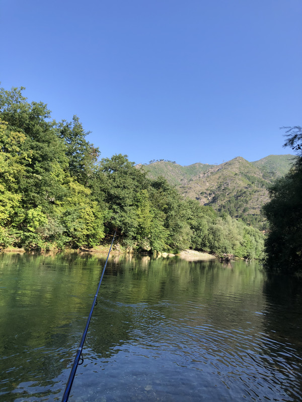 1518F019-8821-47A4-94D4-E0BE95559488