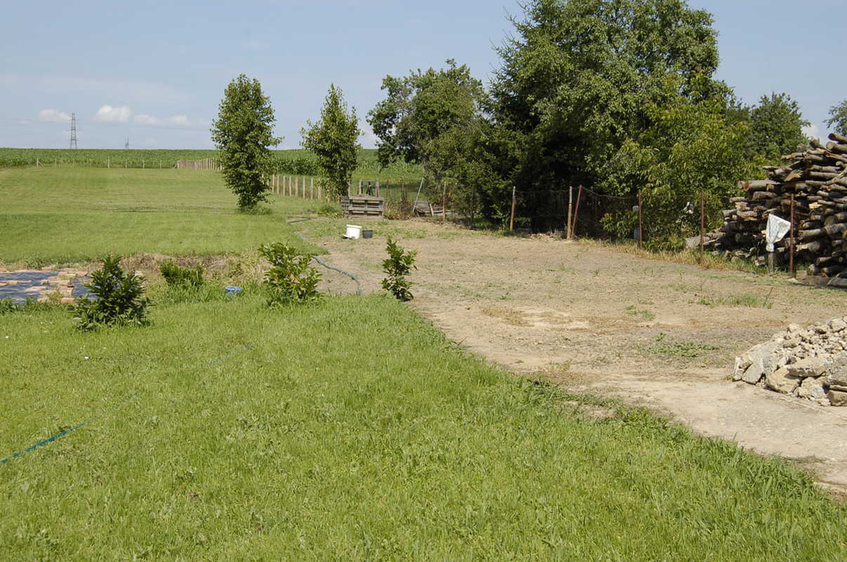 Gartenarbeiten Zwischenstand (14)