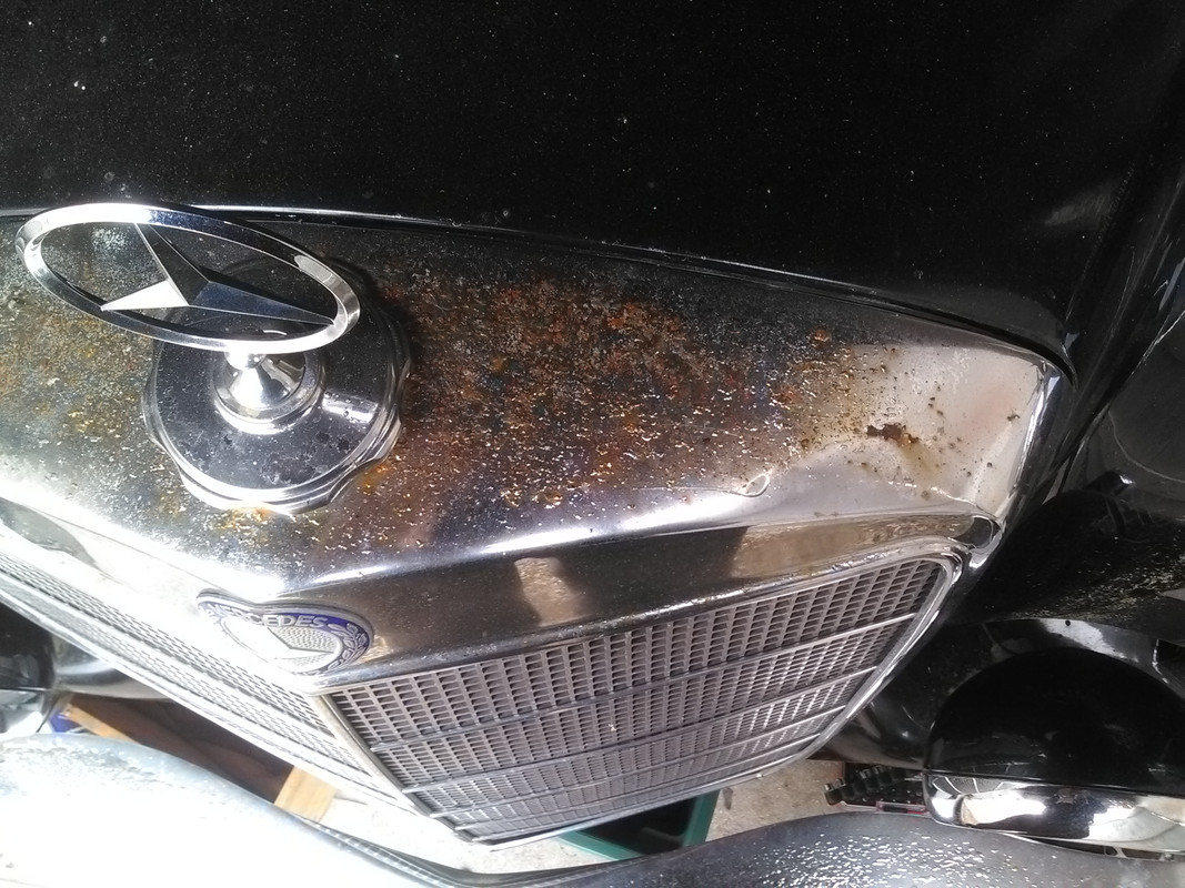 IMG_20170309_154757[1]