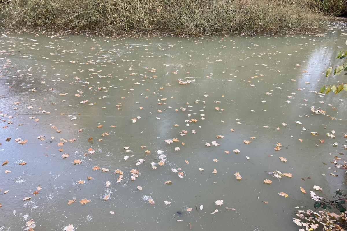 04E96384-4FC0-4EAC-A5F8-7F6ECE422795