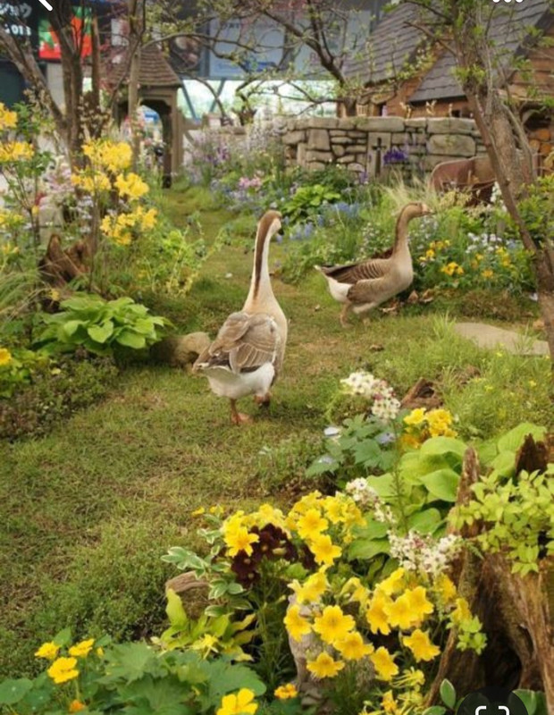 Screenshot_20240320_233109_Pinterest