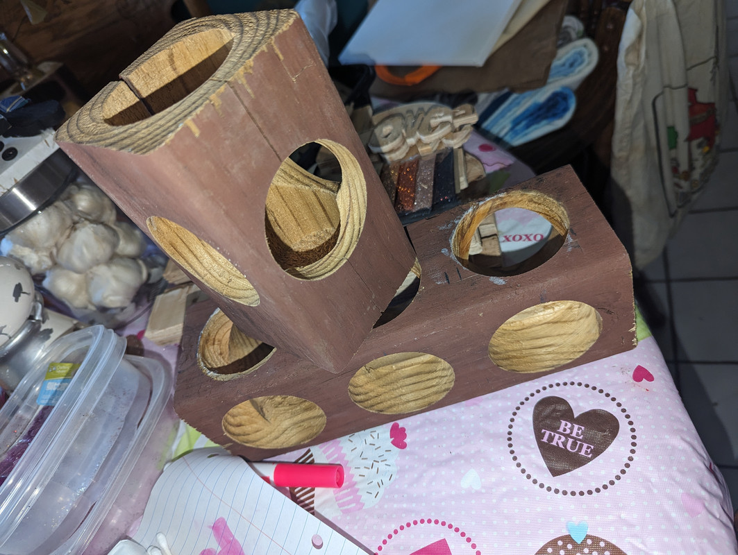 PXL_20250301_193940871