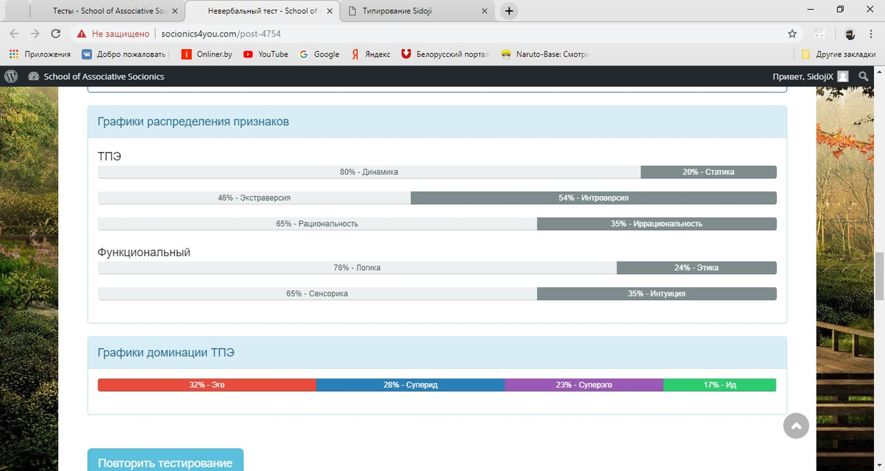 Невербальный тест ШАС (попытка 2)-2