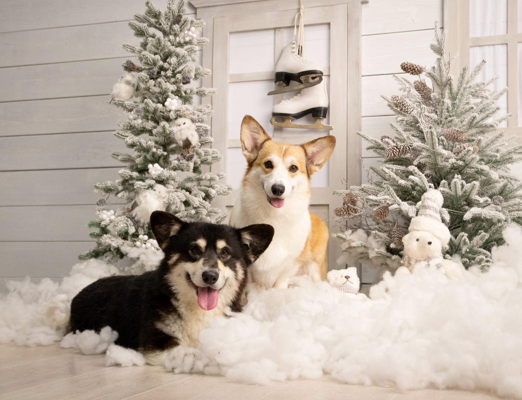 Катя_144 (1) обработка