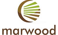 Martwood