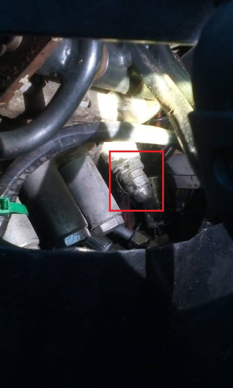 54520947_375679013275983_6379922241714388992_n (1)