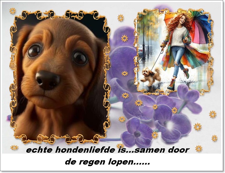 Klik op de afbeelding om de link te volgen