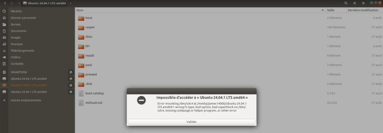 Capture d’écran de 2024-11-26 02-12-52