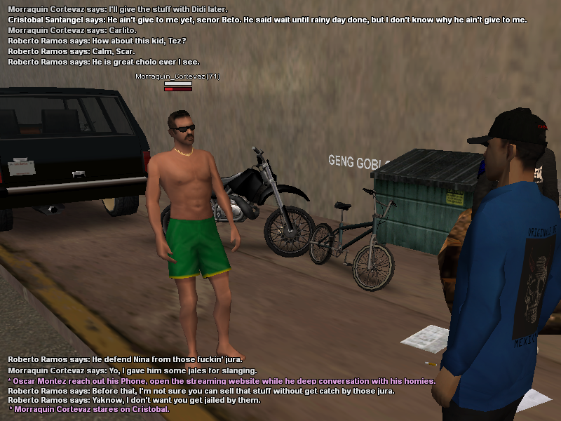 SS1.png