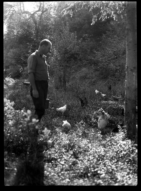 37.EWT Cross with flock