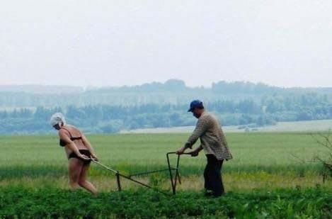 z farmer with wife 91195704014