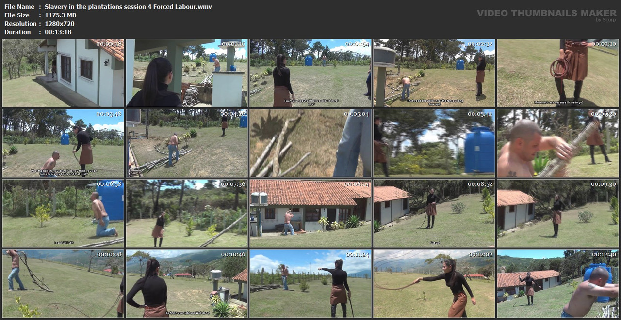 Slavery in the plantations session 4 Forced Labo