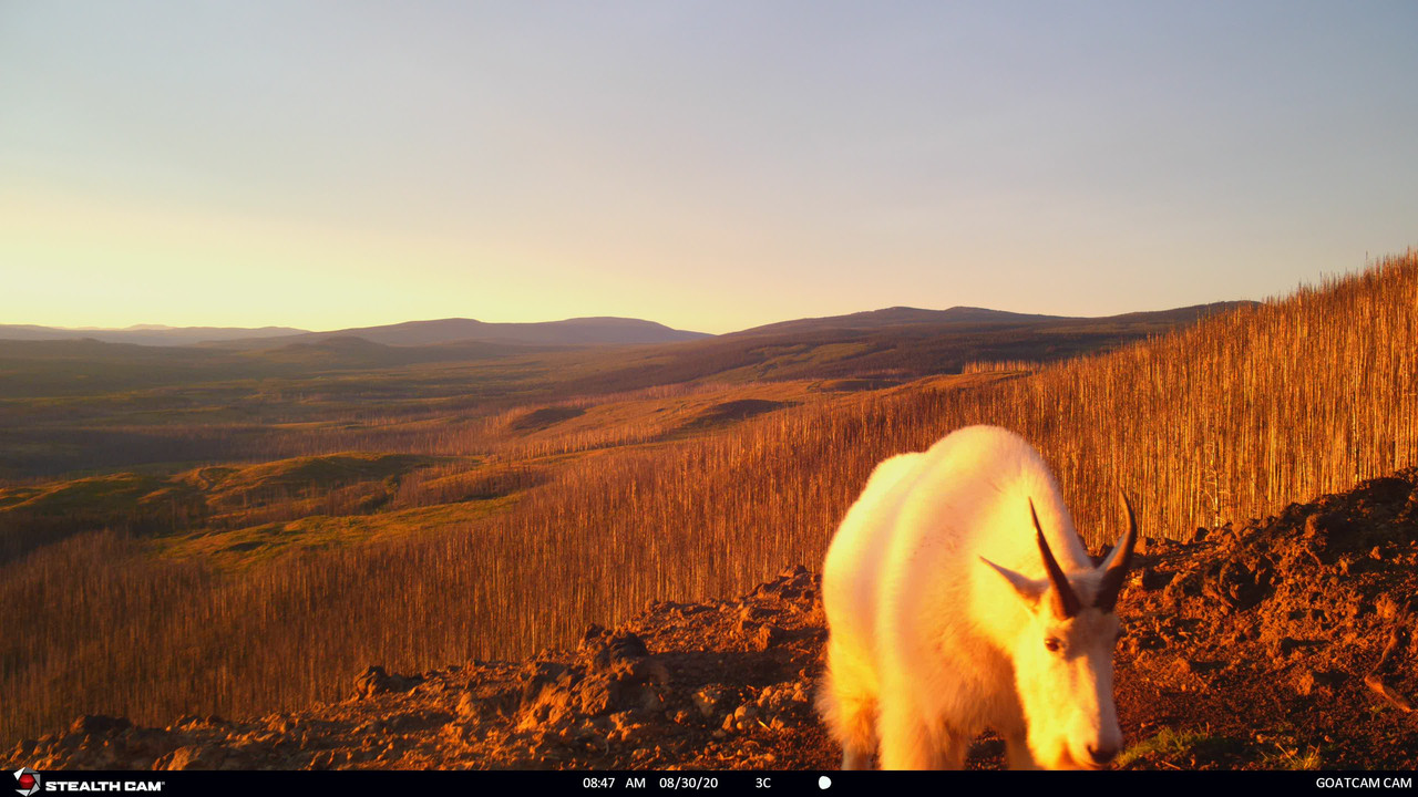 DC472DF5-E74B-4E3C-8DFF-1A62F17D1C90