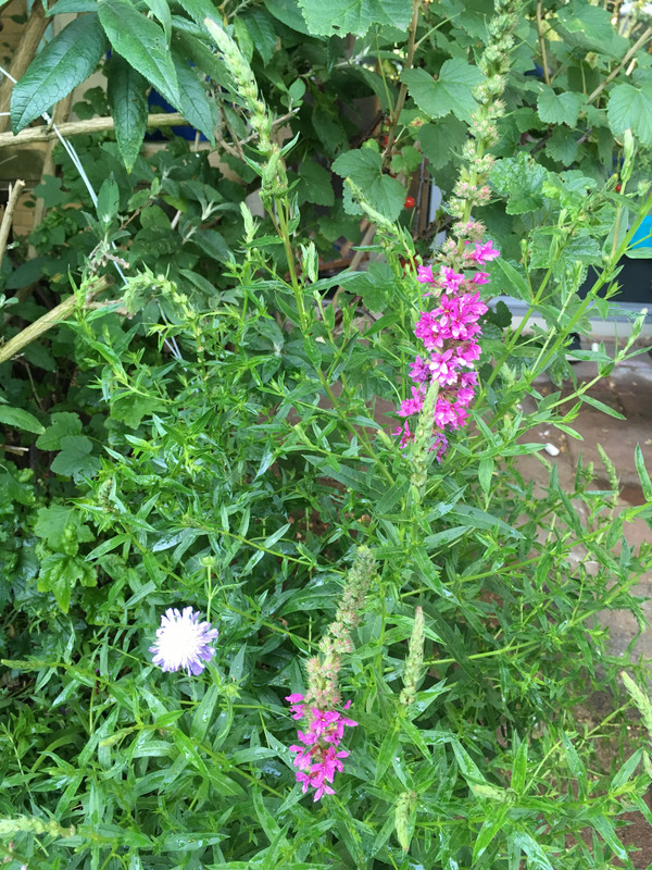 E5D1B055-4031-464A-A3AC-68C41FE939A3