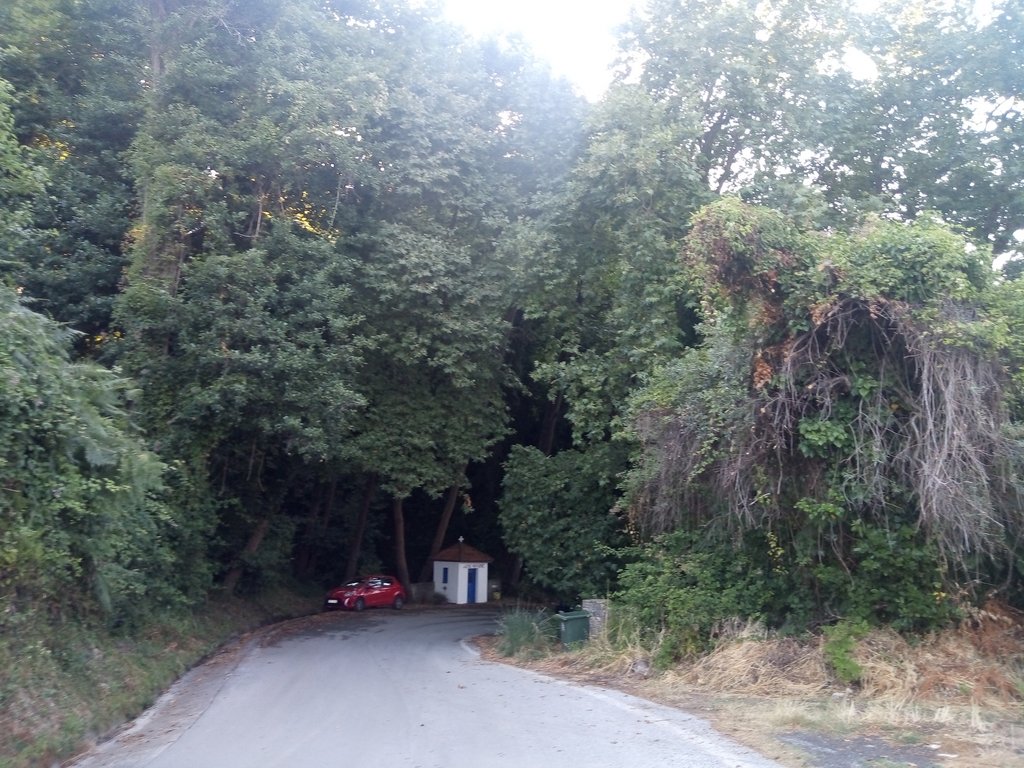 Slika