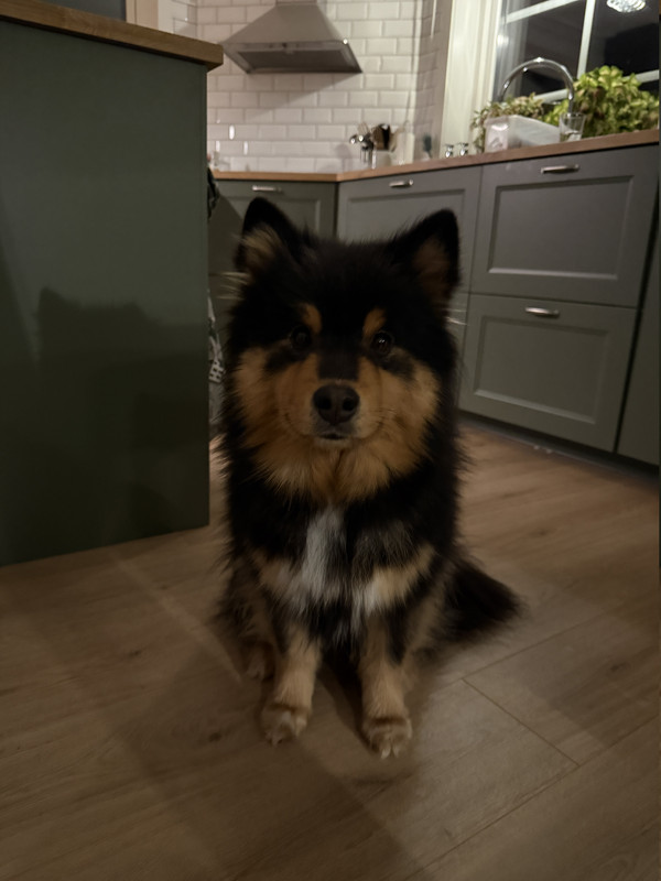 IMG_7777.jpg