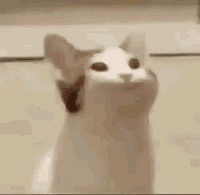Theia-Time.gif